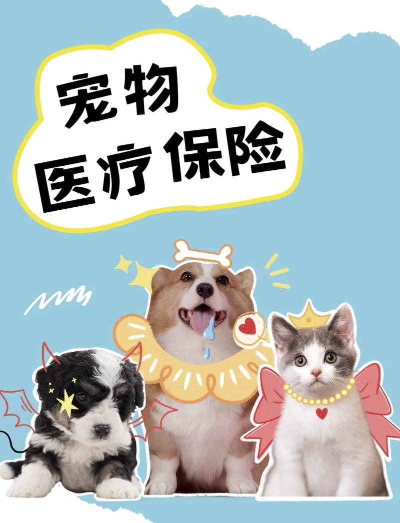 关于宠物险的几个常见误解