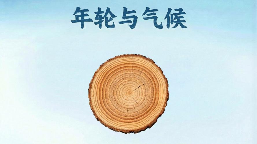 年轮里的气候密码