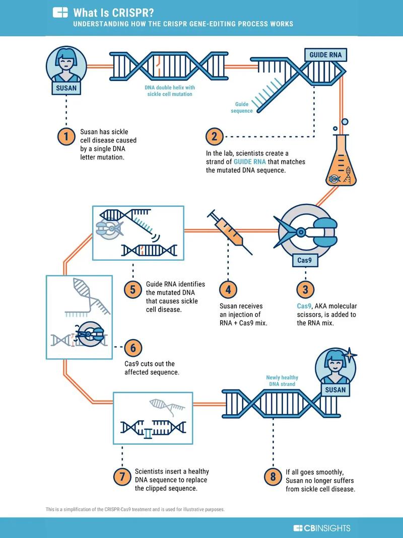 基因编辑：从剪切变粘贴，CRISPR 2.0时代来了