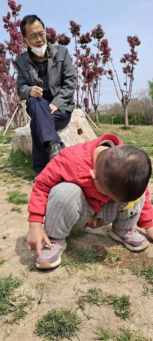 家长蹲在小区路边牵幼儿的手摸梧桐粗糙树皮