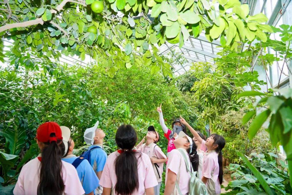 自然教育导师带儿童观察工业遗址植物