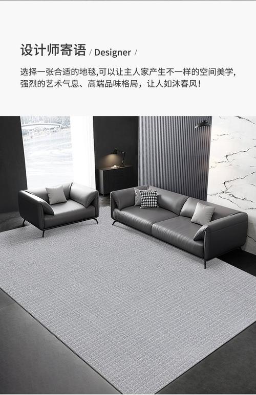 客厅满铺灰色短毛地毯实景图
