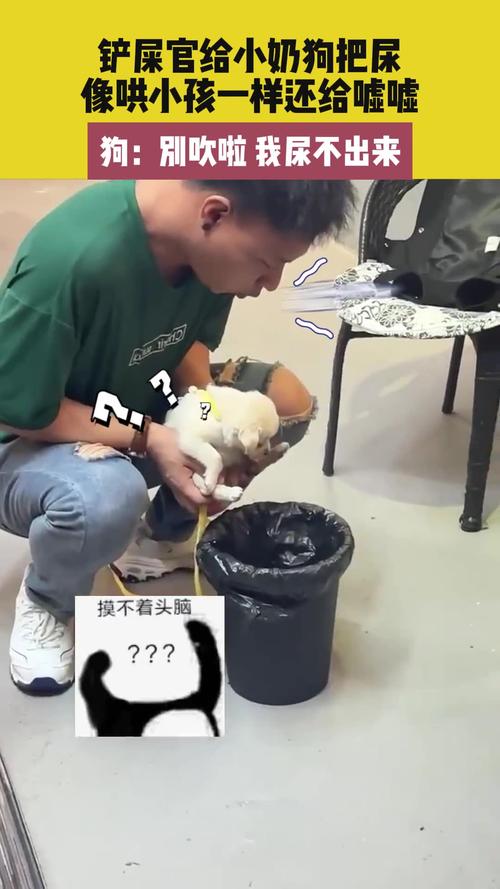 藏在日常里的把尿强迫