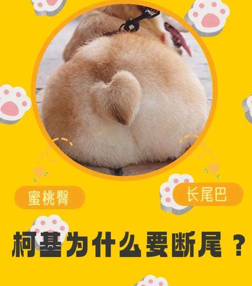 真要自愿放弃，怎么做才不会留尾巴？