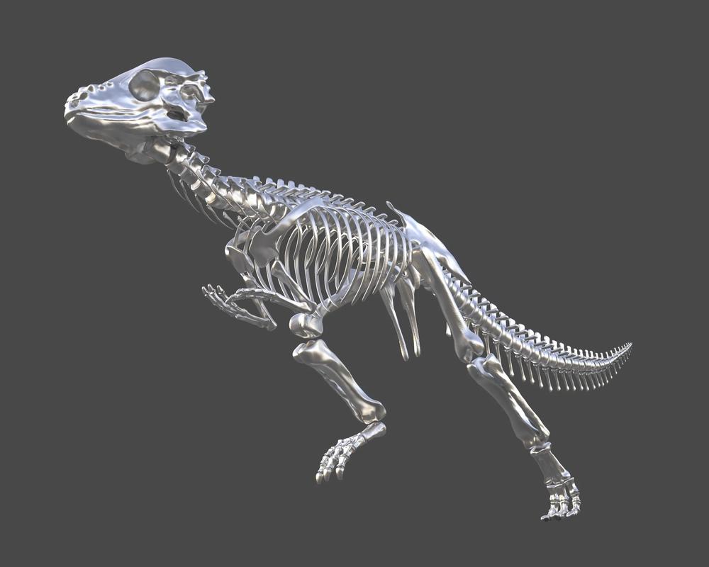 儿童3D打印恐龙骨架模型