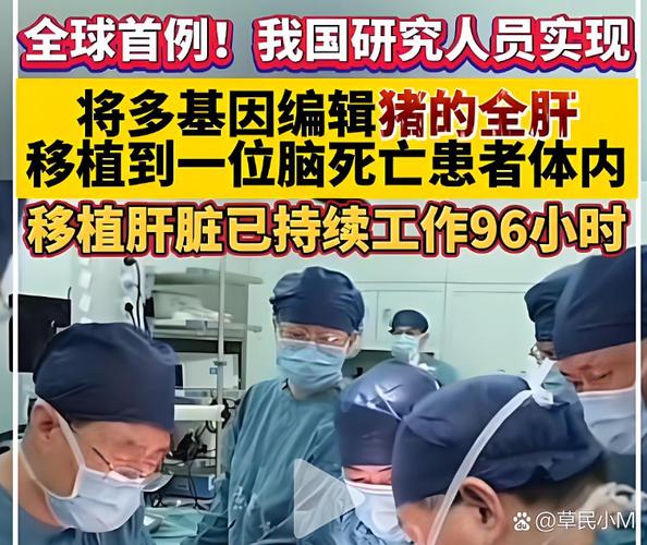 基因编辑又搞事了，这次是直接把猪肝装进人体？