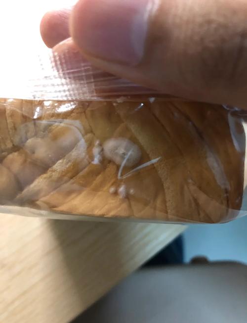 超市购物小票与发霉面包同框实拍