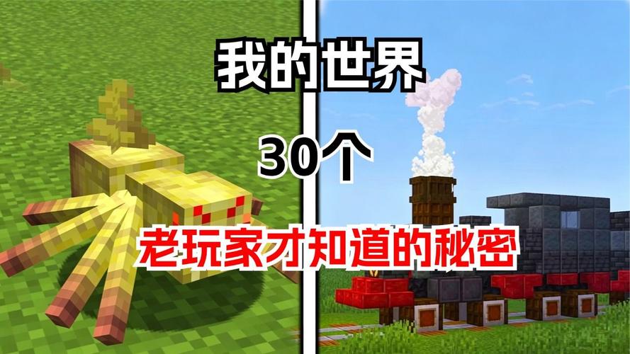 几个老玩家才知道的小秘密