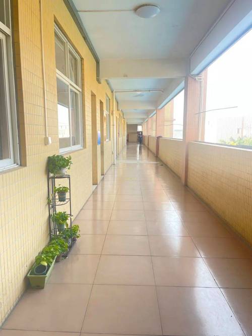 中学课间走廊转角空场景