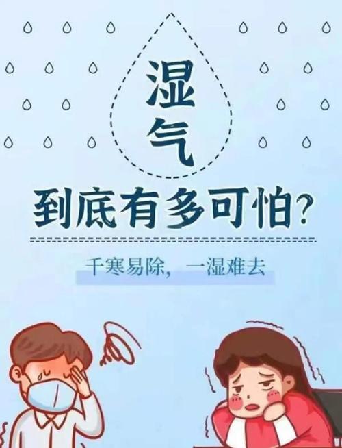 喜湿别乱闷,阴面更要透气