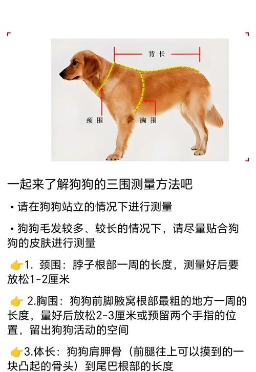 狗狗胸背带腋下空隙测量示范图