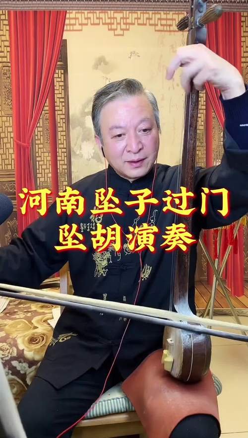 河南坠子传统坠胡乐器特写