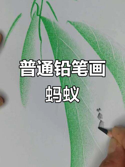 小学语文默写本上蚂蚁铅笔画