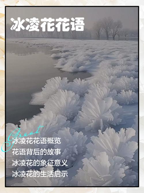 霜花文化史:从谚语到网络梗
