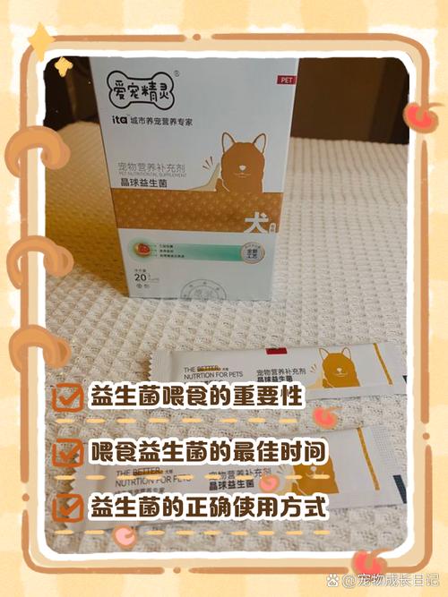喂宠物益生菌的正确姿势,绝大多数人都错了