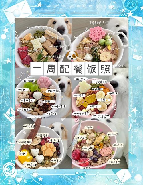 宠物每日饮食记录手账本实拍