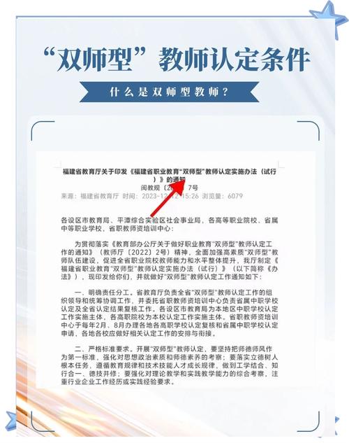 双师型教师：是救命稻草，还是空中楼阁？