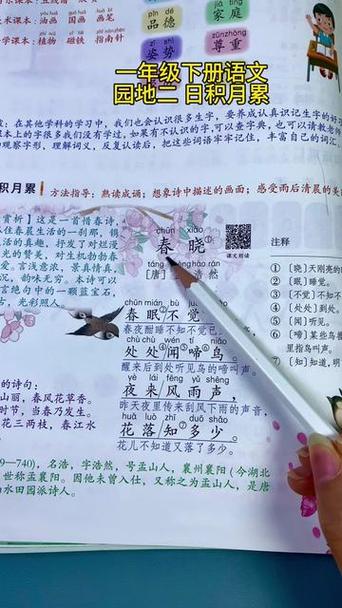 小学生《春晓》默写错题整理笔记