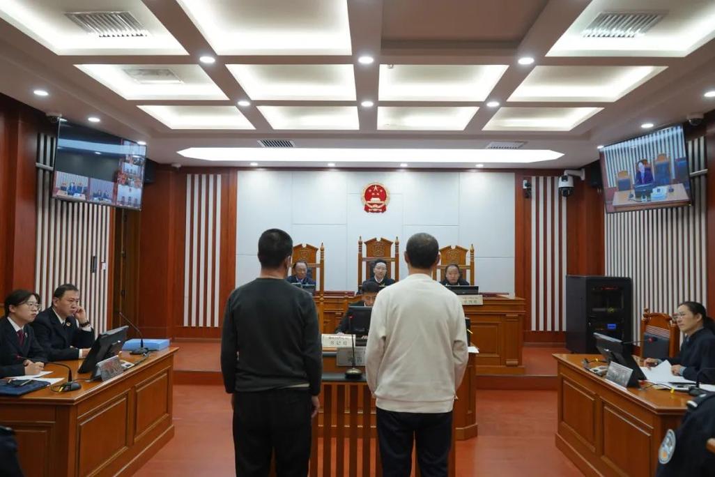 人民法院宠物伤人责任纠纷庭审现场