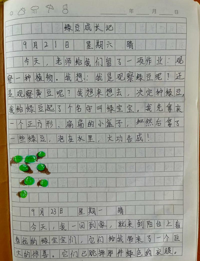 家庭儿童观察记录便签实拍