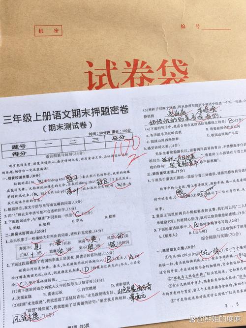小学语文试卷雪化了变什么阅卷实拍
