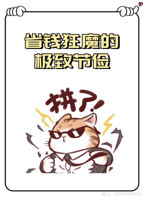 省钱不是全部,但确实爽
