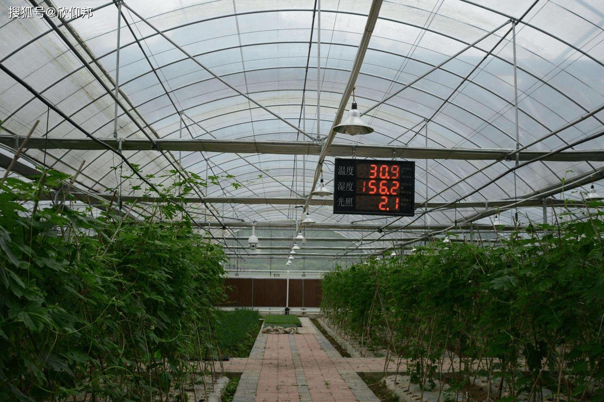 物联网控制草莓种植大棚环境监测设备实拍