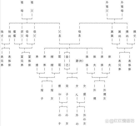 家族继承纠纷关系图谱