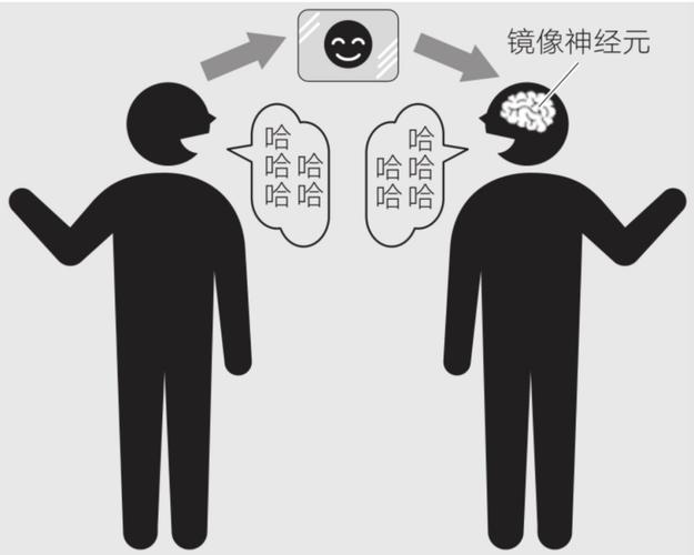 大脑神经元镜像反应导致模仿行为示意图