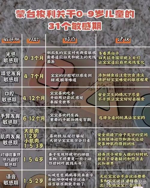 蒙特梭利文化敏感期分月龄对照表