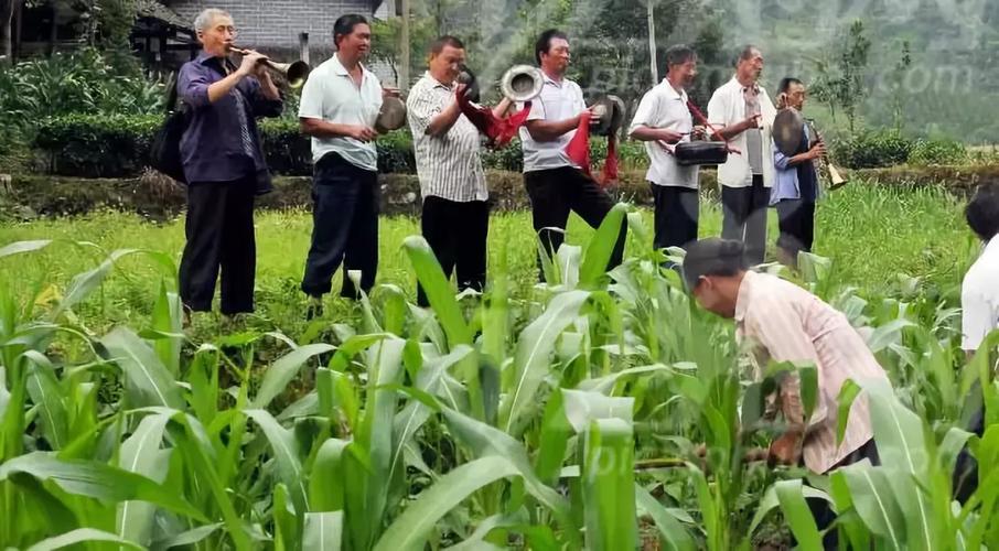 湖北南漳非遗薅草锣鼓老艺人传习