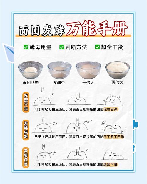发酵,才是烘焙进阶绕不开的坎