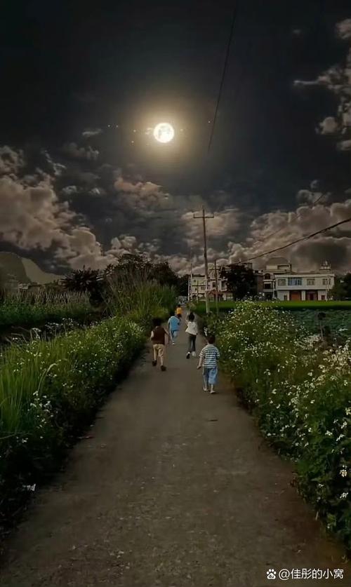 亲子小区草坪夜看月亮实拍
