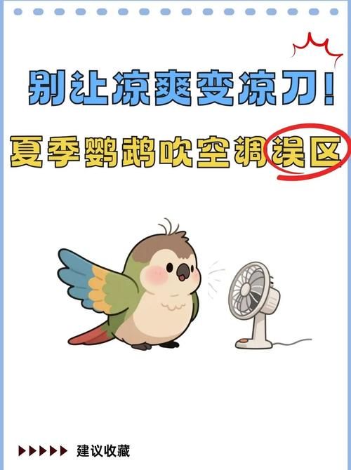 这些常见误区，第一步就会害死毛孩子