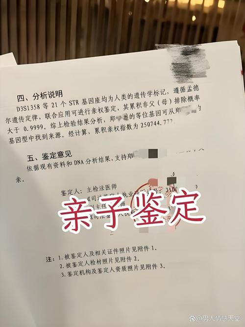 法院离婚亲子鉴定质证现场