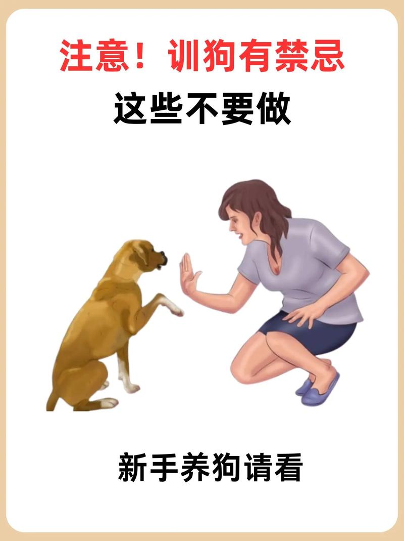 不止关狗,这些用法90%养宠人都不知道