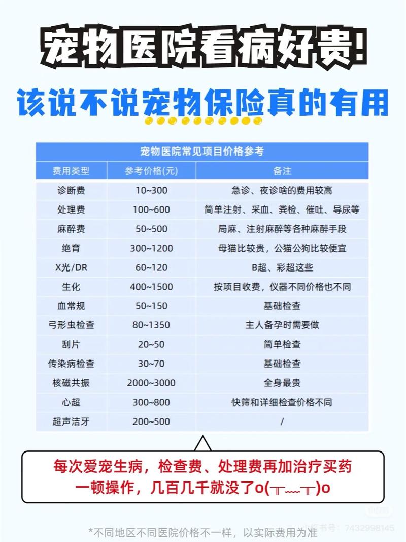 关于宠物险的几个常见误解