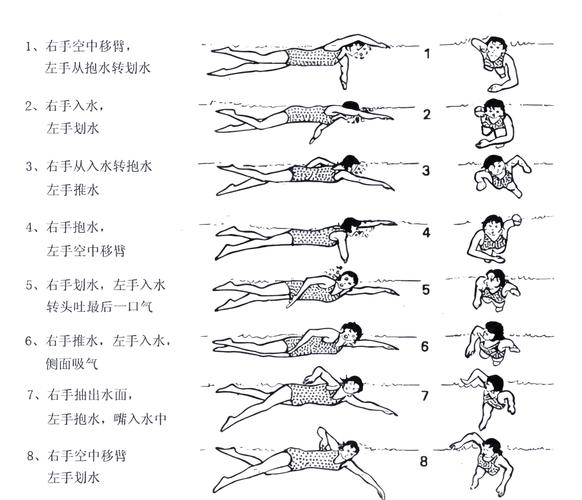 自由泳打腿像狗刨?别笑,我当年也这样 | 游泳技巧问答实录-我问答网