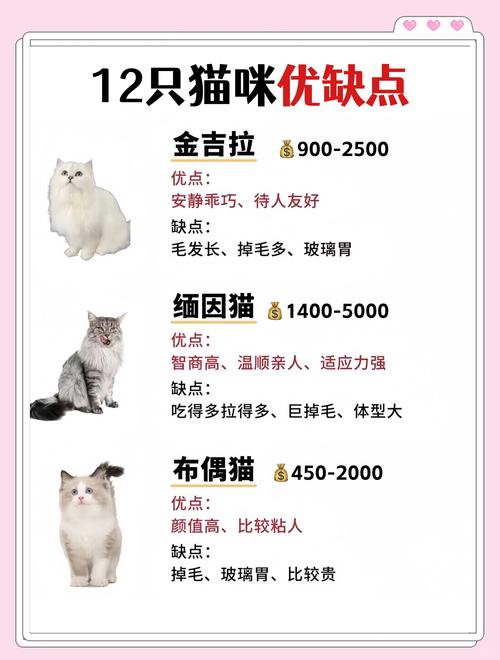千万别被低价晃花眼——参数里的猫腻可真不少