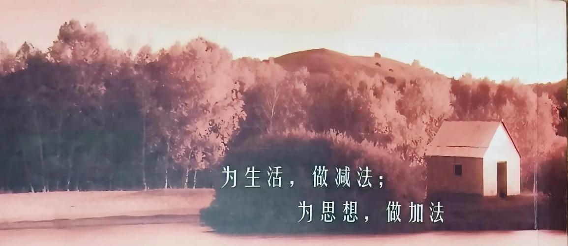 回归本质：旅行是减法，不是加法