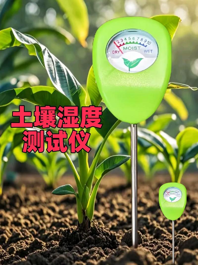 家庭园艺土壤湿度计检测盆栽干燥程度