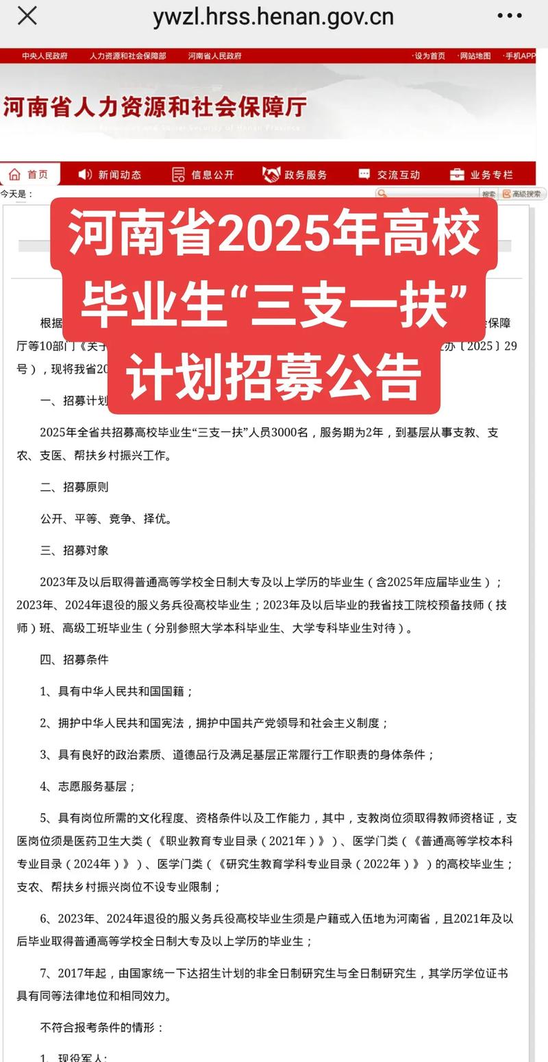 高校毕业生查看公益性岗位政策公告