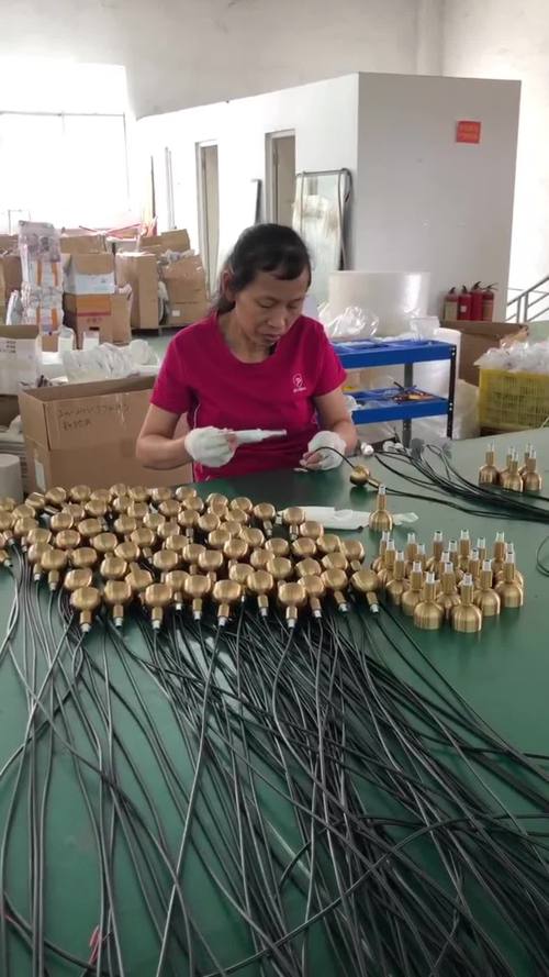 工业企业特殊需求员工组装低压电器产品