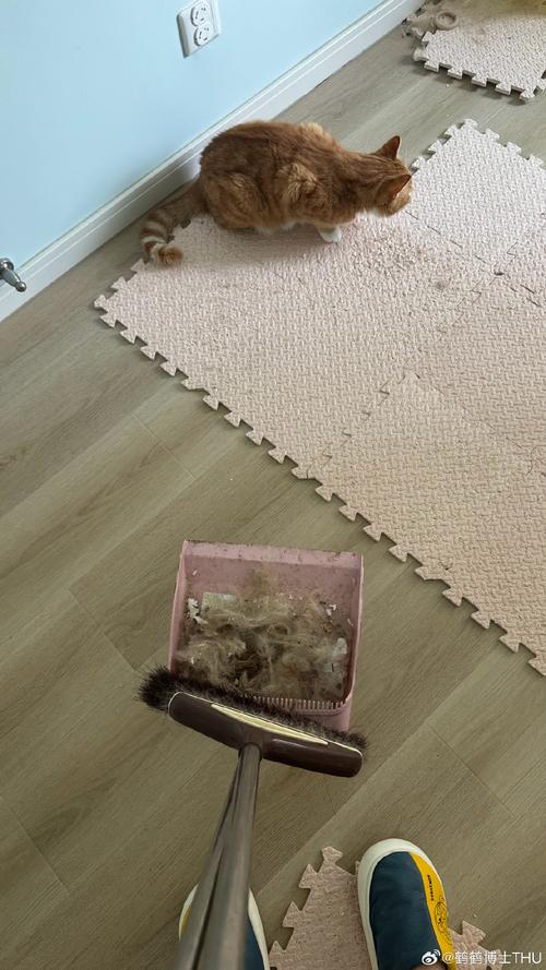养猫家庭沙发缝隙清洁残留猫毛实拍