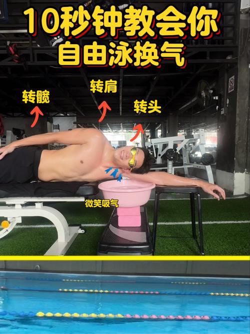 自由泳换气转肩动作分解图