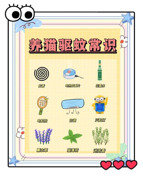 四、家具、防蚊和小花园的魔法