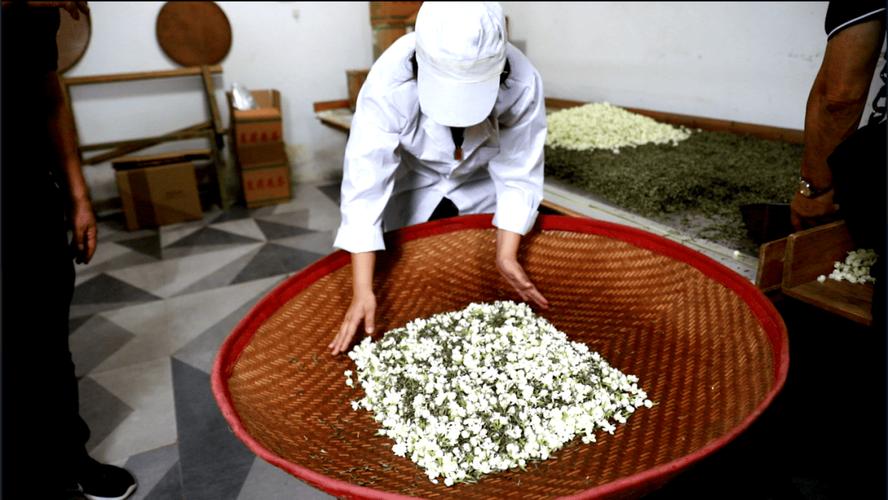 茉莉花茶:香得刺鼻?你可能喝到了假茶-因为所以