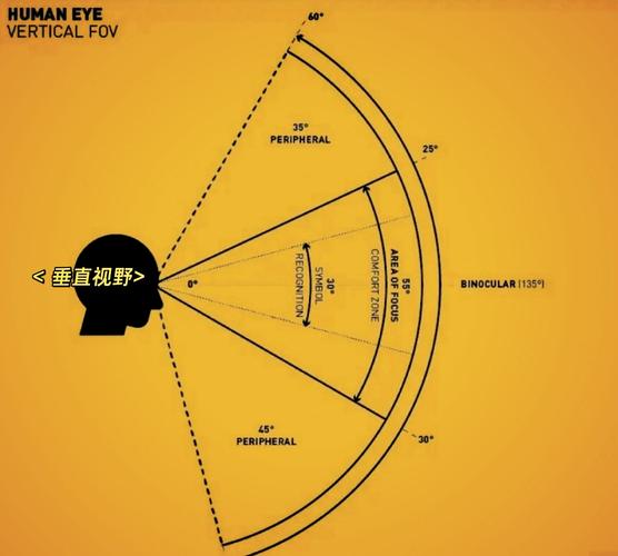 人眼视觉感知优先级对比示意图